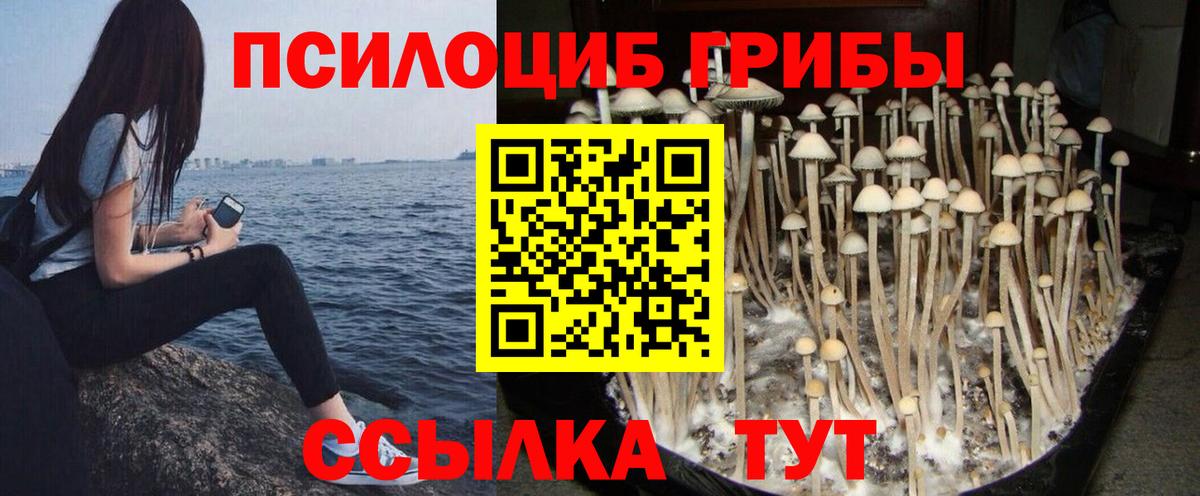Галлюциногенные грибы мицелий  Вход с VPN  Славгород 